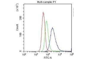 Flow Cytometry analysis of U937 cells using anti-CD33 antibody . (CD33 抗体  (AA 18-259))