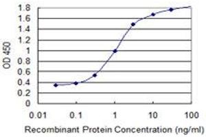 Detection limit for recombinant GST tagged ANXA2 is 0. (Annexin A2 抗体  (AA 186-268))