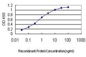 Detection limit for recombinant GST tagged EPHA3 is approximately 0. (EPH Receptor A3 抗体  (AA 202-326))