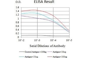 Black line: Control Antigen (100 ng),Purple line: Antigen (10 ng), Blue line: Antigen (50 ng), Red line:Antigen (100 ng) (ATG4A 抗体  (AA 258-398))