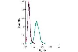 Flow Cytometry (FACS) image for anti-Potassium Intermediate/small Conductance Calcium-Activated Channel, Subfamily N, Member 4 (KCNN4) (Extracellular) antibody (FITC) (ABIN7043466)