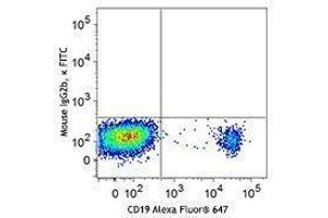 Flow Cytometry (FACS) image for anti-CD22 Molecule (CD22) antibody (FITC) (ABIN2661379) (CD22 抗体  (FITC))