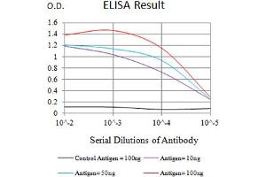 Black line: Control Antigen (100 ng),Purple line: Antigen (10 ng), Blue line: Antigen (50 ng), Red line:Antigen (100 ng) (PIGR 抗体  (AA 19-170))