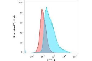 Flow Cytometric Analysis of PFA-fixed MCF-7 cells using Topo I, MT Mouse Monoclonal Antibody (TOP1MT/488) followed by Goat anti-Mouse IgG-CF488 (Blue); Isotype Control (Red). (TOP1MT 抗体)