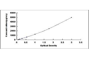 Typical standard curve (Osteocalcin ELISA 试剂盒)