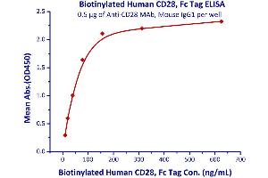Immobilized Anti-CD28 MAb, Mouse IgG1 at 5μg/mL (100 μL/well) can bind Biotinylated Human CD28, Fc Tag  with a linear range of 2.