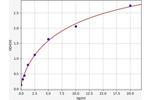Choline Kinase alpha ELISA 试剂盒