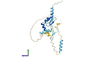 Protein Structure (PS) image for Sodium Channel Modifier 1 (SCNM1) (AA 1-229) protein (His tag) (ABIN7559457)