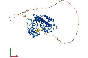 Protein Structure (PS) image for Vaccinia Related Kinase 3 (VRK3) (AA 1-474) protein (His tag) (ABIN7545147)