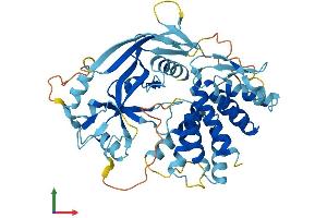 Protein Structure (PS) image for Gasdermin A (GSDMA) (AA 1-445) protein (His tag) (ABIN7548132)
