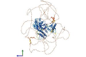 AlphaFold protein structure predicition of Human Recombinant AGAP2 Protein, UniprotID Q99490 (AGAP2 Protein (AA 1-1192) (His tag))