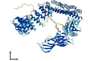 Protein Structure (PS) image for Coatomer Protein Complex, Subunit gamma (COPG) (AA 1-874) protein (His tag) (ABIN7565166)