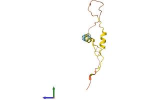 AlphaFold protein structure predicition of Human Recombinant C8orf17 Protein, UniprotID Q9NRJ1