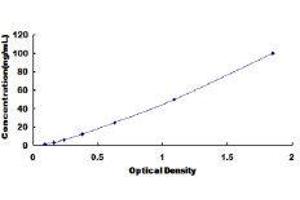 ELISA image for Glutathione Peroxidase 1 (GPX1) ELISA Kit (ABIN415940)