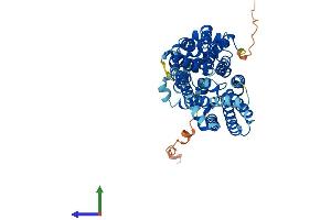 Protein Structure (PS) image for Solute Carrier Family 2 (Facilitated Glucose Transporter), Member 4 (SLC2A4) (AA 1-509) protein (His tag) (ABIN7548112)