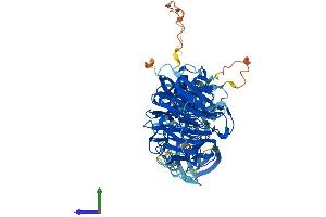 AlphaFold protein structure predicition of Human Recombinant NEK8 Protein, UniprotID Q86SG6