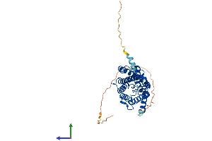 Protein Structure (PS) image for Aquaporin 7 (AQP7) (AA 1-342) protein (His tag) (ABIN7552172)