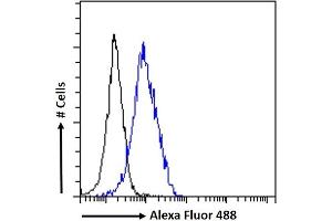 (ABIN185503) Flow cytometric analysis of paraformaldehyde fixed U2OS cells (blue line), permeabilized with 0.