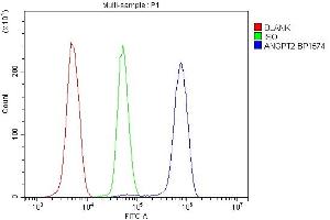 Flow Cytometry analysis of U937 cells using anti-ANGPT2 antibody (ABIN7601450). (Angiopoietin 2 抗体  (AA 357-404))