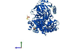 AlphaFold protein structure predicition of Human Recombinant EHHADH Protein, UniprotID Q08426