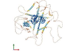 AlphaFold protein structure predicition of Mouse Recombinant Nek1 Protein, UniprotID P51954