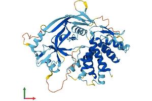 Protein Structure (PS) image for Gasdermin A (GSDMA) (AA 1-446) protein (His tag) (ABIN7561482)
