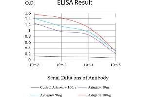 Black line: Control Antigen (100 ng),Purple line: Antigen (10 ng), Blue line: Antigen (50 ng), Red line:Antigen (100 ng) (PAX2A 抗体  (AA 194-304))