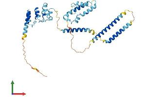 AlphaFold protein structure predicition of Human Recombinant NFKBIL1 Protein, UniprotID Q9UBC1