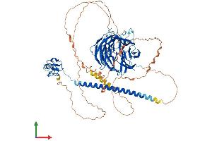 Protein Structure (PS) image for Ring Finger and WD Repeat Domain 3 (RFWD3) (AA 1-774) protein (His tag) (ABIN7555192)