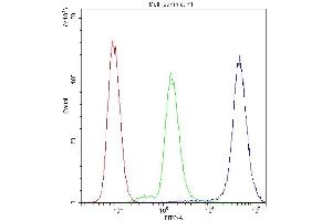 Flow Cytometry analysis of SiHa cells using anti-PPP1R12A antibody (ABIN3043902).