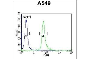 TAG Antibody (Center) 10962c flow cytometric analysis of A549 cells (right histogram) compared to a negative control cell (left histogram). (TAGAP 抗体  (AA 103-129))