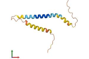 Protein Structure (PS) image for Reprimo (RPRM) (AA 1-109) protein (His tag) (ABIN7561571)