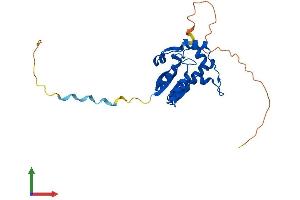 Protein Structure (PS) image for NEDD4 Binding Protein 2-Like 1 (N4BP2L1) (AA 1-238) protein (His tag) (ABIN7557354)