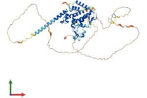 Protein Structure (PS) image for Spermatogenesis Associated 2 (SPATA2) (AA 1-520) protein (His tag) (ABIN7546154)