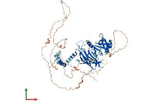 Protein Structure (PS) image for Grainyhead-Like 3 (GRHL3) (AA 1-603) protein (His tag) (ABIN7563817)