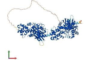 AlphaFold protein structure predicition of Mouse Recombinant Hk1 Protein, UniprotID P17710