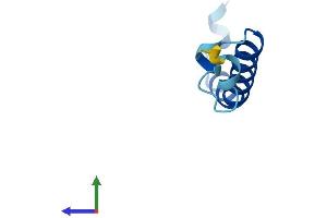 Protein Structure (PS) image for Ubiquinol-Cytochrome C Reductase, Complex III Subunit XI (UQCR11) (AA 1-56) protein (Fc Tag) (ABIN7551132)