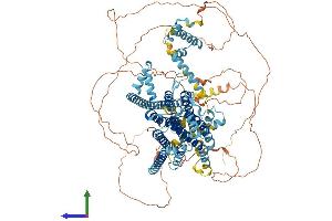 AlphaFold protein structure predicition of Human Recombinant TMC5 Protein, UniprotID Q6UXY8