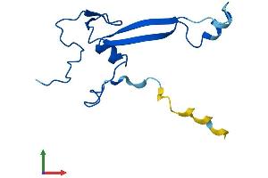 AlphaFold protein structure predicition of Human Recombinant RPS26P11 Protein, UniprotID Q5JNZ5 (RPS26L1 Protein (AA 1-115) (His tag))