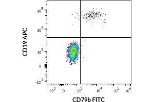 Flow cytometry multicolor surface staining pattern of human lymphocytes using anti-human CD19 (LT19) APC antibody (10 μL reagent / 100 μL of peripheral whole blood) and anti-human CD79b (CB3-1) FITC antibody (4 μL reagent / 100 μL of peripheral whole blood). (CD79b 抗体  (FITC))