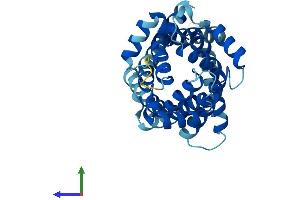 Protein Structure (PS) image for Solute Carrier Family 25 (Mitochondrial Oxodicarboxylate Carrier), Member 21 (Slc25a21) (AA 1-299) protein (His tag) (ABIN7550023)