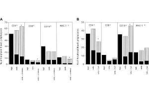 Immunoprecipitation (IP) image for Hamster IgG isotype control (ABIN5633234)