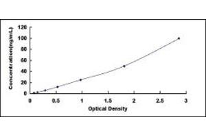 Typical standard curve (SLC7A9 ELISA 试剂盒)