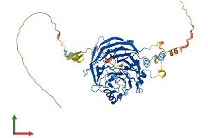 AlphaFold protein structure predicition of Mouse Recombinant Dcaf11 Protein, UniprotID Q91VU6