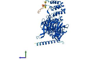 Protein Structure (PS) image for Kelch-like protein 41 (KLHL41) (AA 1-606) protein (His tag) (ABIN7548959)