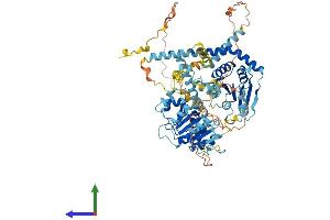 Protein Structure (PS) image for DEAD (Asp-Glu-Ala-Asp) Box Polypeptide 27 (DDX27) (AA 1-760) protein (His tag) (ABIN7560199)