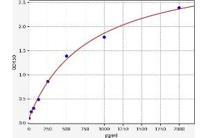 Typical standard curve