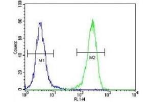 Flow Cytometry (FACS) image for anti-Aquaporin 11 (AQP11) (AA 244-271) antibody (ABIN3028471)