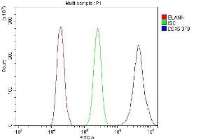 Flow Cytometry analysis of A431 cells using anti- DDX5 antibody (ABIN7602561). (DDX5 抗体  (AA 85-328))