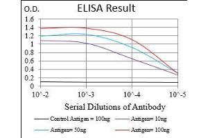 Black line: Control Antigen (100 ng), Purple line: Antigen(10 ng), Blue line: Antigen (50 ng), Red line: Antigen (100 ng),